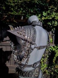 Image 7 of Jurassic Set