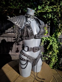 Image 11 of Jurassic Set