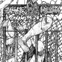 Sulfuric Cautery / Myxoma - Split EP