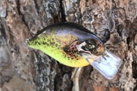 Image 2 of Custom Airbrushed S-CRANK 1.5 Squarebill Crankbait 2040