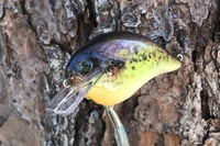 Image 4 of Custom Airbrushed S-CRANK 1.5 Squarebill Crankbait 2040