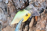 Image 3 of Custom Airbrushed S-CRANK 1.5 Squarebill Crankbait 2040