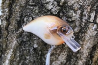 Image 2 of Custom Airbrushed S-CRANK 1.5 Squarebill Crankbait 2043