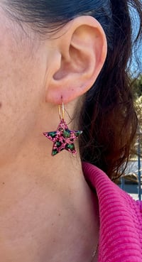 Les Étoiles sauvages 