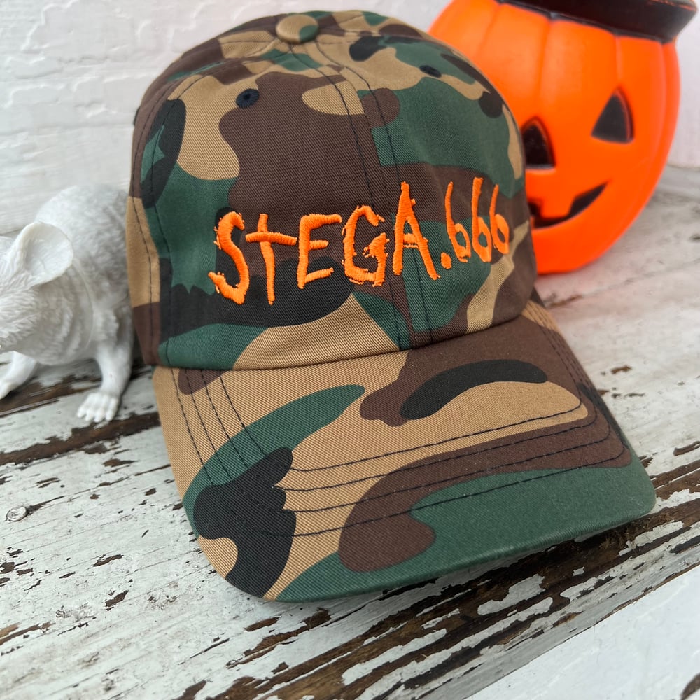 Image of Camo dad hat 