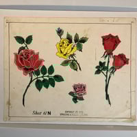 Image 1 of Early 1976 hand colored Spaulding & Roger’s production sheet roses 11x14
