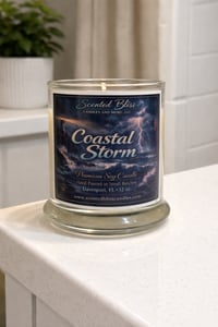 Coastal Storm  