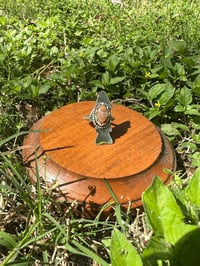 Image 1 of Jamie Trout Ring