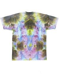 Image 2 of sun bleached galaxy