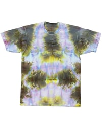 Image 1 of sun bleached galaxy