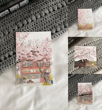 Image 1 of spring series 🌸 south korea postcards (pack)