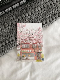 Image 2 of spring series 🌸 south korea postcards (pack)