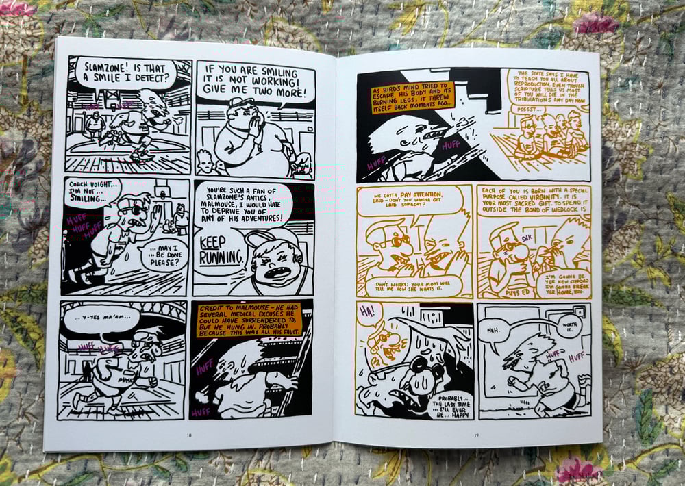 Image of Bird Slamzone by Tom McHenry