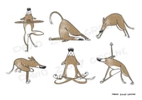 Image 1 of BRAND NEW - Yoga Dogs