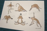 Image 2 of BRAND NEW - Yoga Dogs