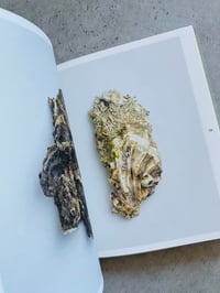 Image 2 of WEAVING BETWEEN LAND AND SEA