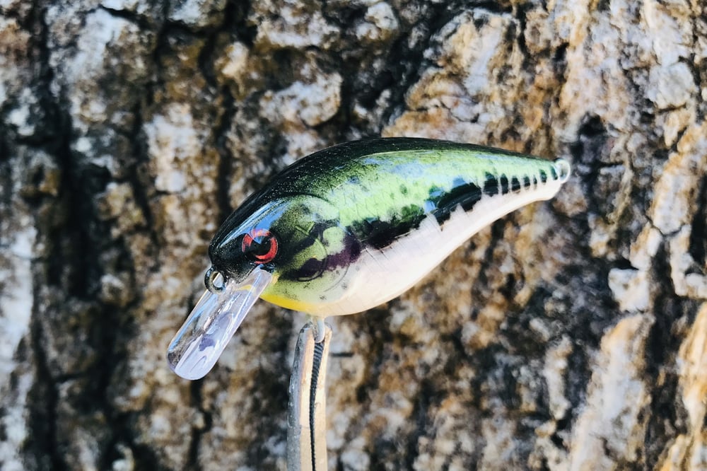 Custom Airbrushed LC 1.5 Squarebill Crankbait 8511 - Image 2