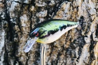Image 2 of Custom Airbrushed LC 1.5 Squarebill Crankbait 8511