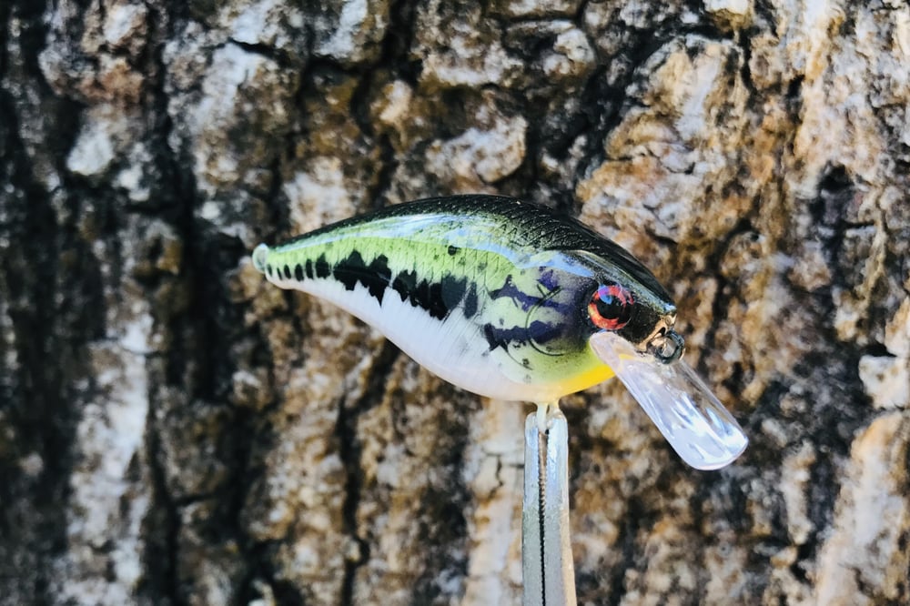 Custom Airbrushed LC 1.5 Squarebill Crankbait 8511 - Image 3