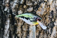 Image 3 of Custom Airbrushed LC 1.5 Squarebill Crankbait 8511