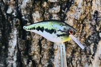 Image 4 of Custom Airbrushed LC 1.5 Squarebill Crankbait 8511