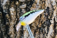 Image 5 of Custom Airbrushed LC 1.5 Squarebill Crankbait 8511