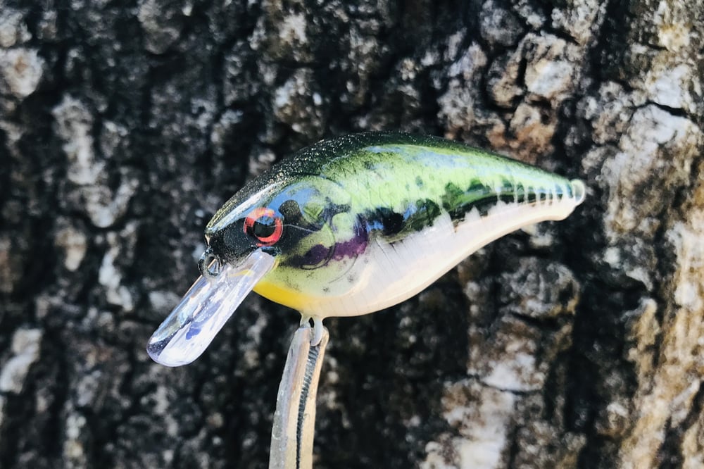 Custom Airbrushed LC 1.5 Squarebill Crankbait 8511 - Image 6