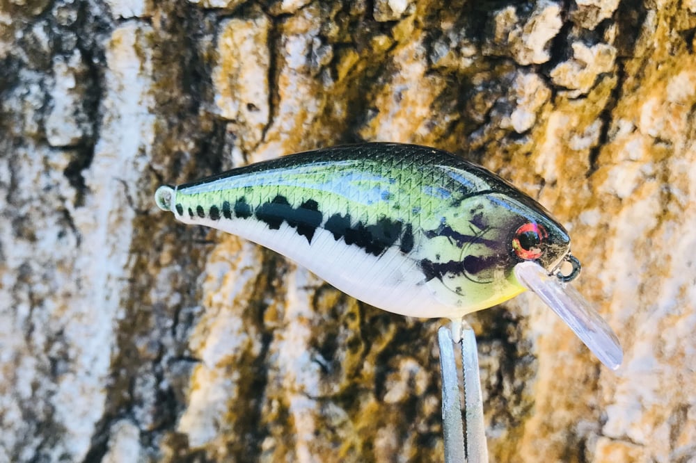 Custom Airbrushed LC 1.5 Squarebill Crankbait 8511 - Image 7