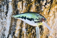 Image 7 of Custom Airbrushed LC 1.5 Squarebill Crankbait 8511
