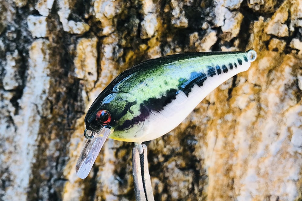 Custom Airbrushed LC 1.5 Squarebill Crankbait 8511 - Image 8
