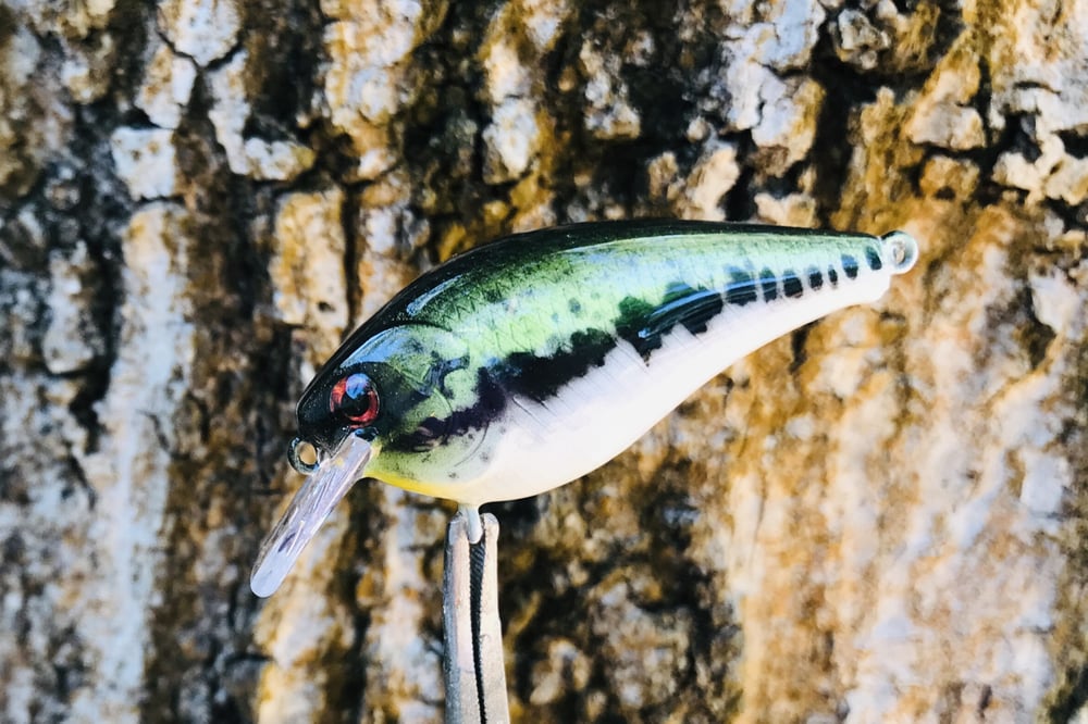 Custom Airbrushed LC 1.5 Squarebill Crankbait 8511 - Image 9