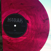 Image 3 of Ning​ú​n Muro... 12" - 2026 reissue