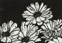 Daisies Limited Edition Linocut Print