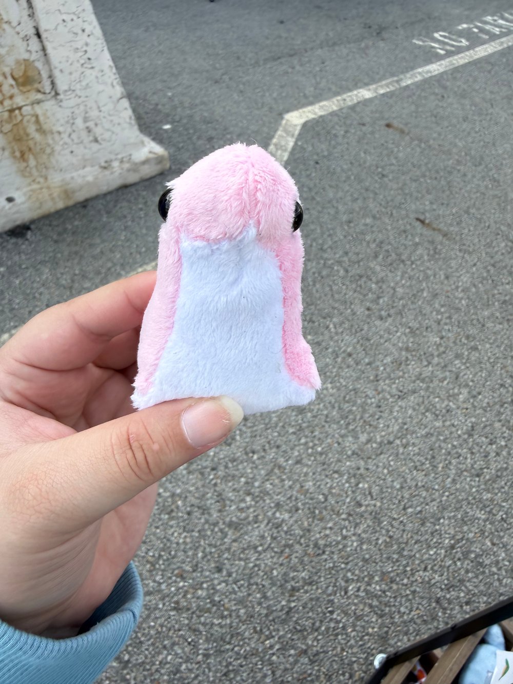 Image of Mini Dino (variants)