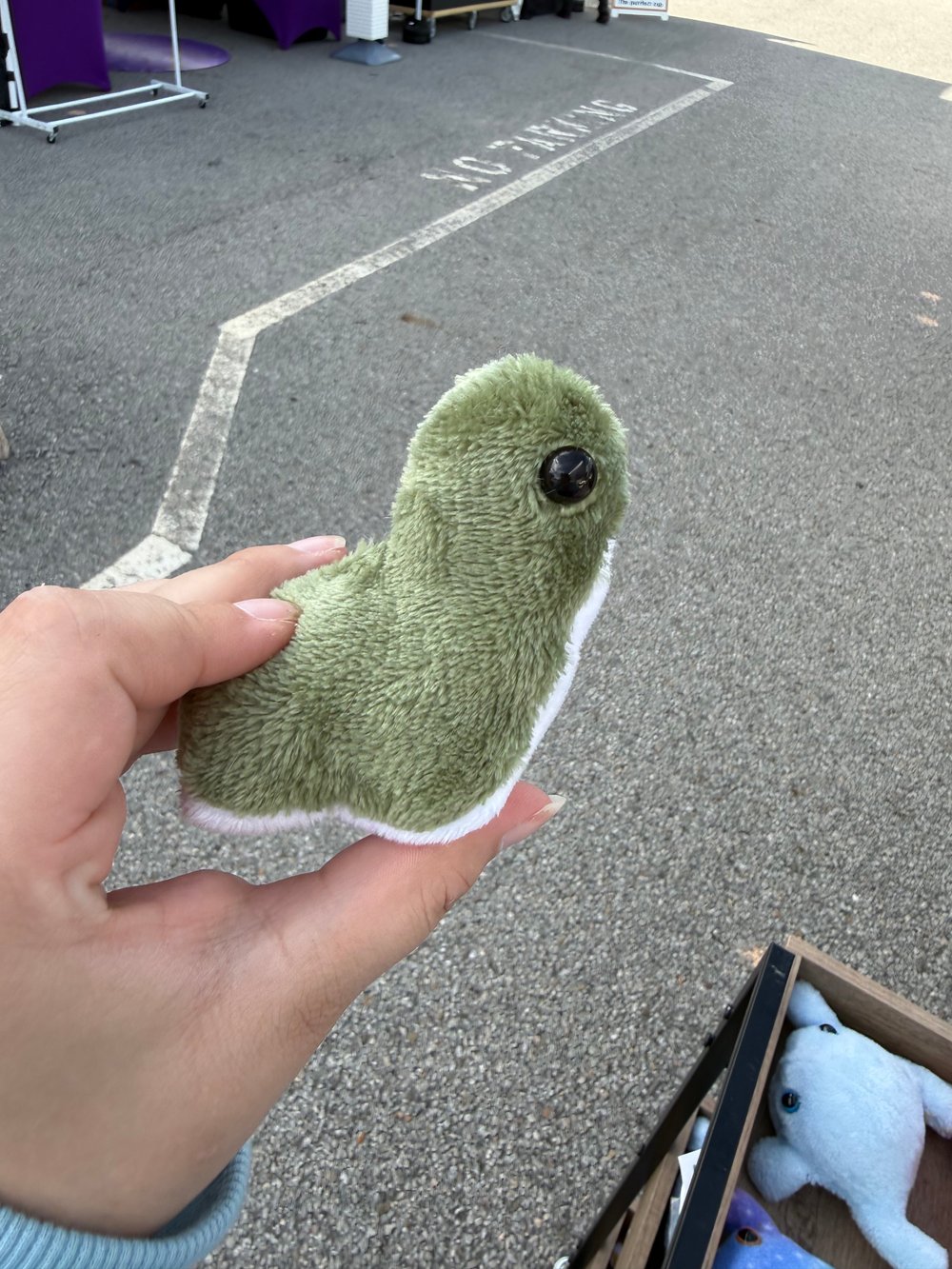 Image of Mini Dino (variants)