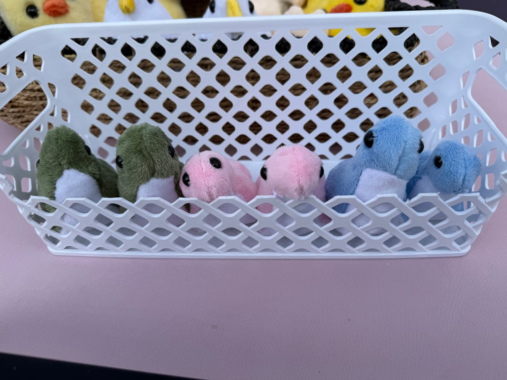 Image of Mini Dino (variants)