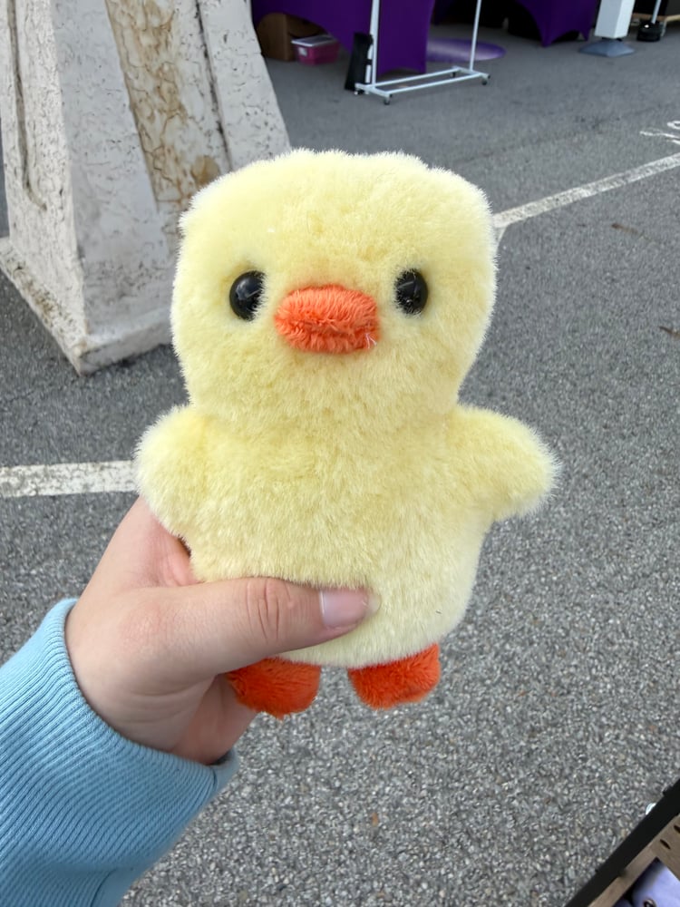 Image of Spring Chick (variants)