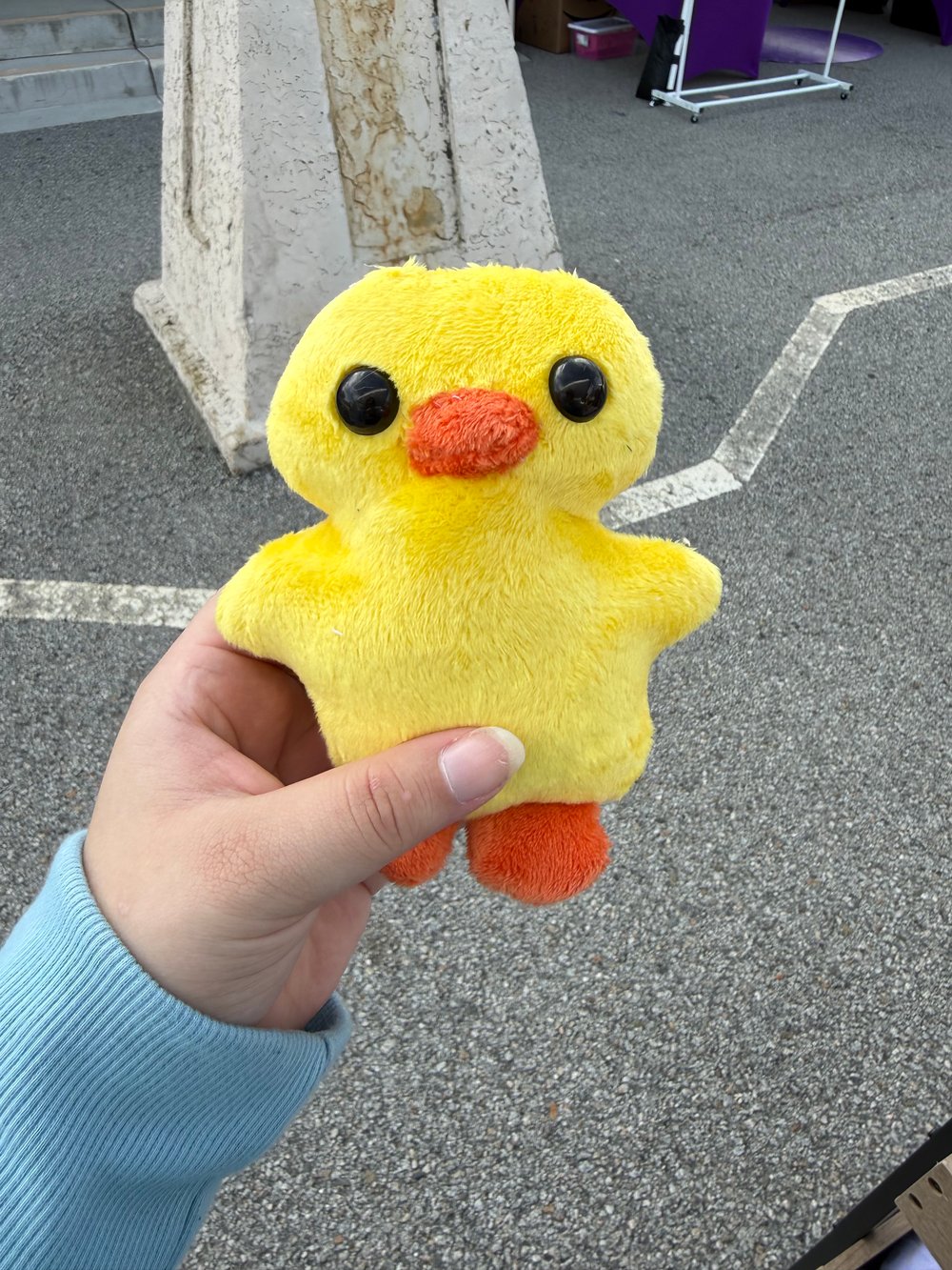 Image of Spring Chick (variants)