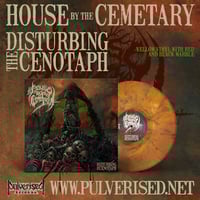 Image 2 of HOUSE BY THE CEMETARY - Disturbing The Cenotaph LP