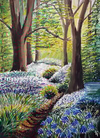 Copy of Sunlit Bluebell Way Original