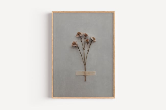 Day Fourteen  - 11x14