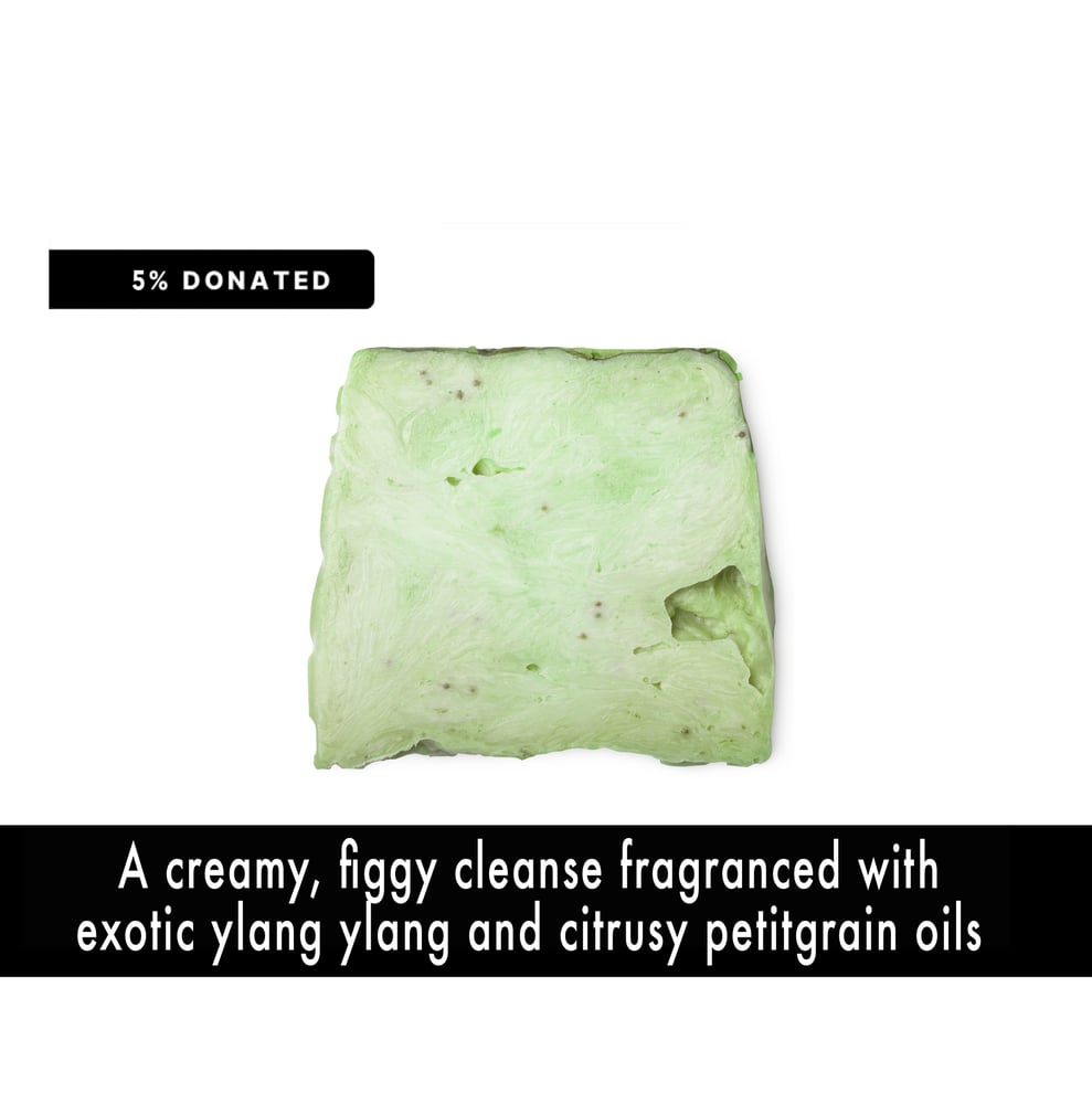 Image of FICUS THIEVES Body + Hand Soap