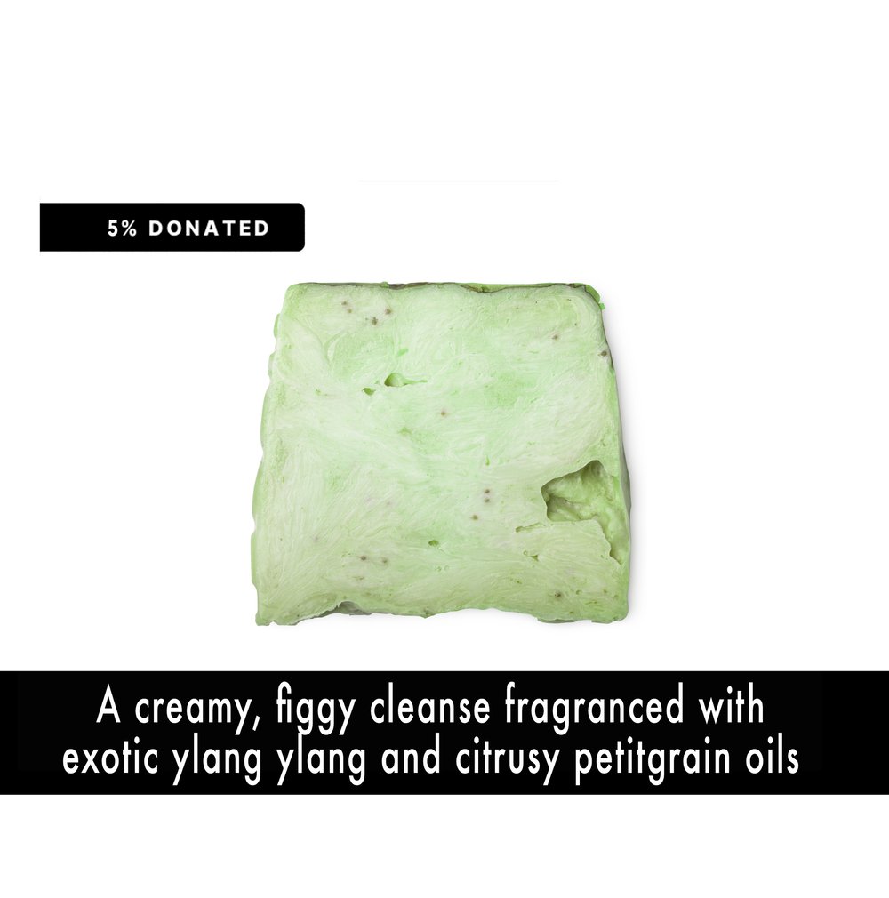 Image of FICUS THIEVES Body + Hand Soap