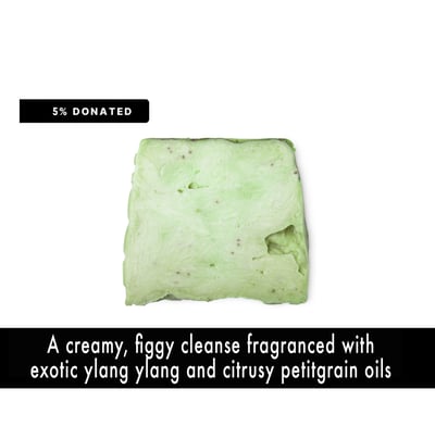 Image of FICUS THIEVES Body + Hand Soap