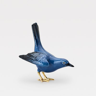 MERLE BLEU À LA QUEUE RELEVÉE Image 3