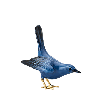 MERLE BLEU À LA QUEUE RELEVÉE