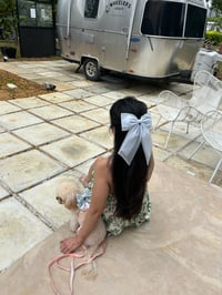 Image 4 of Chloe Bows