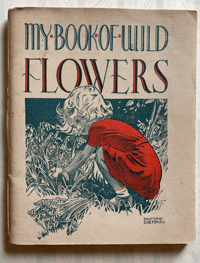 Image 1 of My Book of Wild Flowers 1944