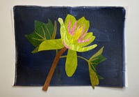 Image 4 of Botanical Gelliprinting & Collage  in the style of Mary Delany on 01/05/26 at Clevedon Craft Centre 