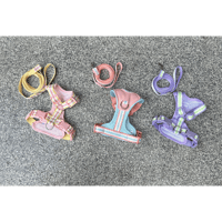 Image 1 of Willow Harness & Leash